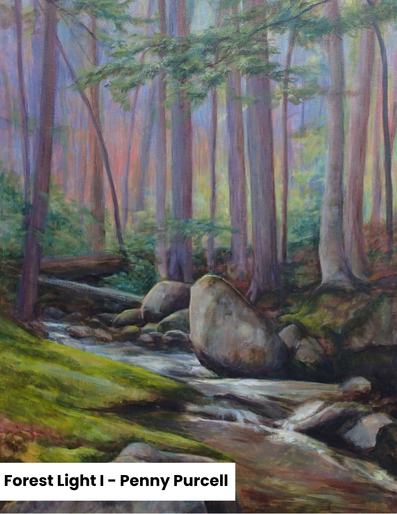 Forest Light I