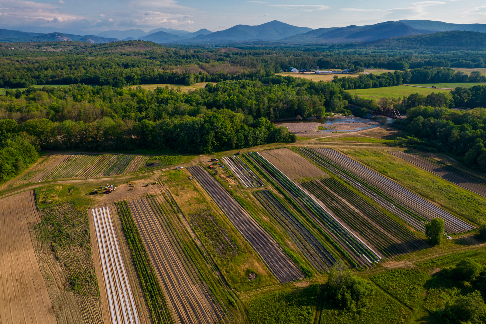 klementovich-20210628-DJI_0632.jpg